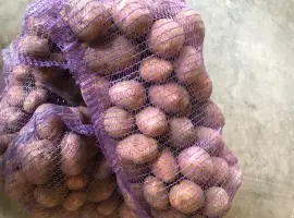 Продам товарну картоплю