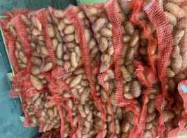 Зображення для оголошення В продажі картопля Гранада