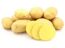 Продаж насінневої картоплі сорту Коломбо. Перша репродукція. Роздріб від 20 кг