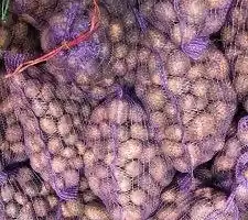 Зображення для оголошення Посадкова картопля Саншайн Полтавська область купити якісну
