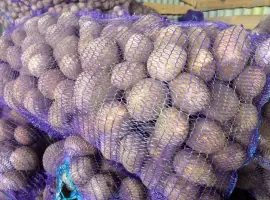 Зображення для оголошення Семенной картофель Аризона 1-2 репродукция