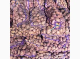 Зображення для оголошення Продам картоплю від фермерів та постачальників з 10 тонн