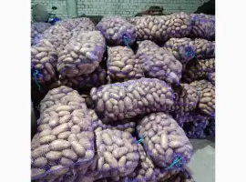 Зображення для оголошення Продам картоплю