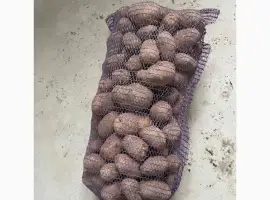 Картопля (некондиція)