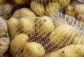 Зображення для оголошення Оптом куплю картоплю різних сортів і калібрів / без гнилі