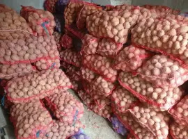 Зображення для оголошення Дрібна картопля на корм тваринам