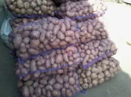 Продам картоплю