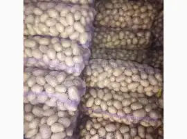 Зображення для оголошення Продам картоплю