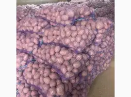 Зображення для оголошення Продам продовольчу картоплю