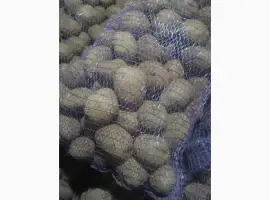Зображення для оголошення Продам товарну картоплю