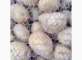 Продам продуктову та мілку домашню картоплю