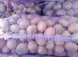Продам товарну картоплю