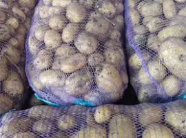 Зображення для оголошення Продам товарну картоплю сорту Арізона