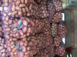 Зображення для оголошення Продам картоплю (товарну)
