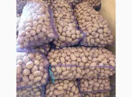 Продам картоплю