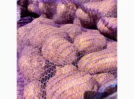 Зображення для оголошення Продам картофель