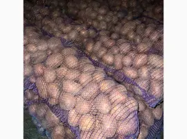 Зображення для оголошення Продається борщ набір по хорошим цінам
