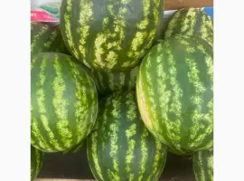 Зображення для оголошення Продам кавун