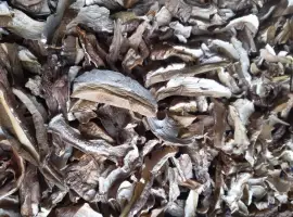 Зображення для оголошення Продам білі сушені 2500.кіло