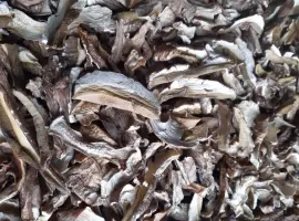 Зображення для оголошення Продам білі сушені 2500.кіло
