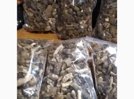 Зображення для оголошення Гриби зморшки