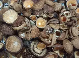 Зображення для оголошення Закриті шапки пантерного мухомора