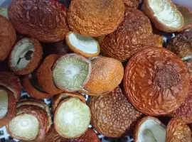 Зображення для оголошення Шапки червоного мухомора