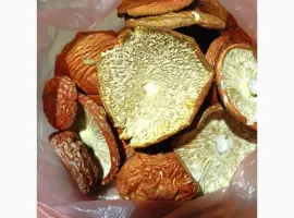Зображення для оголошення Капелюшки червоного мухомора