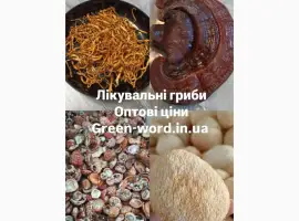 Зображення для оголошення Лікувальні гриби