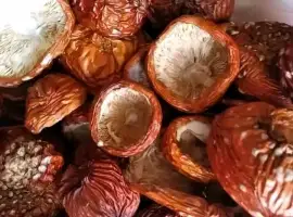 Зображення для оголошення Шляпки червоного мухомора