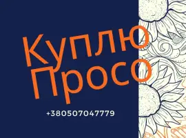 Зображення для оголошення Просо купуємо ваше