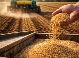 Зображення для оголошення Продам насіння проса