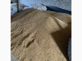 Продам овес