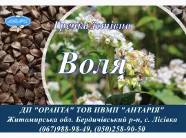Зображення для оголошення Насіння гречки Воля (БН