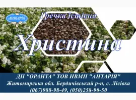 Зображення для оголошення Насіння гречки Христина (БН