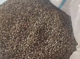 Зображення для оголошення Продам гречку Арно