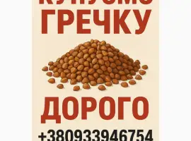 Зображення для оголошення Купимо гречку по всій Україні. Дорого