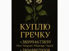 Зображення для оголошення Куплю гречіху ! Дорого