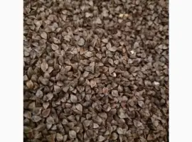 Зображення для оголошення Продам насіння гречки 15 тн