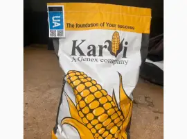 Продам насіння Кукурудзи Karvi Фао 270/320