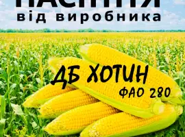Насіння кукурудзи ДБ Хотин ФАО 280 / від виробника Agro_Exprt