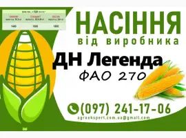 Насіння кукурудзи 2025 - гібрид ДН Легенда (ФАО 270) від виробника