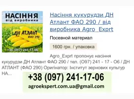 ДН Атлант (ФАО 290)