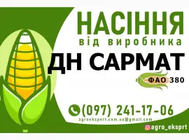 Гібрид кукурудзи ДН Сармат (ФАО 380). Насіння від виробника
