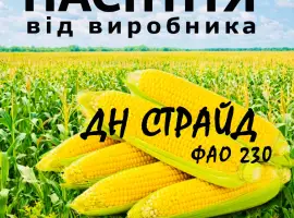 Насіння кукурудзи ДН Страйд ФАО 230 / від виробника Agro_Exprt