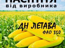 Насіння кукурудзи ДН Летава ФАО 350 / від виробника Agro_Exprt