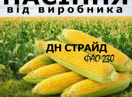 Насіння кукурудзи ДН Страйд / від виробника / ФАО 230
