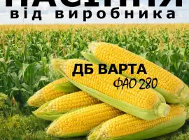 Насіння кукурудзи ДБ Варта / від виробника / ФАО 280