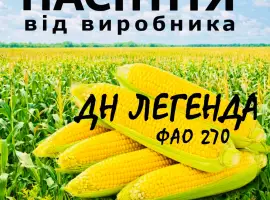 Насіння кукурудзи ДН Легенда ФАО 270 / від виробника Agro_Exprt