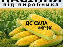 Насіння кукурудзи ДС Сула / від виробника / ФАО 310